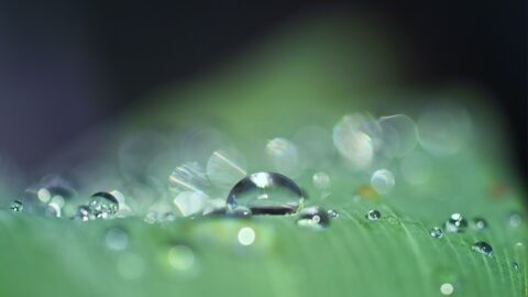 Zum Artikel "Jetzt für das „EFR Zukunftsstipendium – Grüner Wasserstoff“ bewerben"